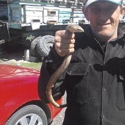  ,    , 29 ,   ,   , c 