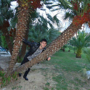 ���������� ������, ���� ������� �����, 35 ���, ������������ ��� ������