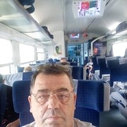  ,   , 66 ,  