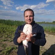 ���������� ���������, ���� ������� ������, 37 ���, ������������ ��� ������, ����� � ���������