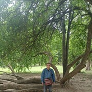  ,   , 58 ,   ,   , c 