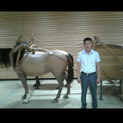  ,   , 45 ,   ,   , c 