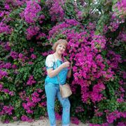  ,   , 65 ,     , c , 