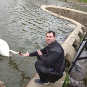 ���������� �������, ���� ������� ���������, 38 ���, ������������ ��� ������, ����� � ���������