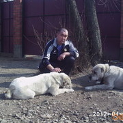  ,   Kuba, 56 ,   ,   , c 
