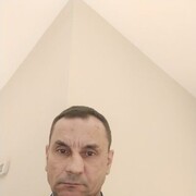  ,   , 50 ,   ,   