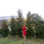  ,   , 42 ,     , c 