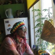  ,   , 51 ,   , 