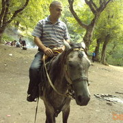  ,   Ali 1983, 42 ,   ,   , c 