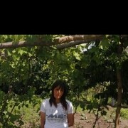 ���������� ���������, ���� ������� ���, 38 ���, ������������ ��� ����� � ���������, ���������