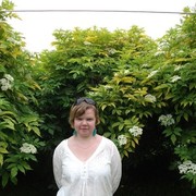 ���������� ���������, ���� ������� �����, 42 ����, ������������ ��� ������, ����� � ���������, c�������� ���������