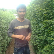  ,   91 3333963, 33 ,   