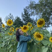 ���������� �����-���������, ���� ������� �������, 52 ����, ������������ ��� ������, ����� � ���������, c�������� ���������, ���������