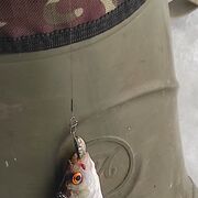 ���������� ������, ���� ������� Andrey, 34 ����, ������������ ��� ������, ����� � ���������