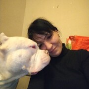 ���������� ������, ���� ������� �������, 38 ���, ������������ ��� c�������� ���������