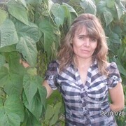 ���������� �����, ���� ������� �����, 53 ����, ������������ ��� c�������� ���������