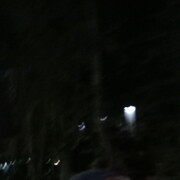 ���������� �����, ���� ������� ���������, 49 ���, ������������ ��� ������, ����� � ���������