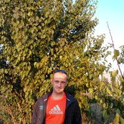  ,   , 41 ,  