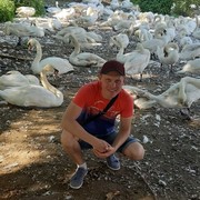  ,   , 42 ,   ,   , c 