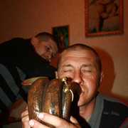  ,   , 55 ,  