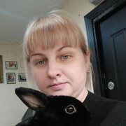 ���������� ����, ���� ������� �����, 43 ����, ������������ ��� ������, ����� � ���������