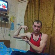  --,   Grisa, 43 ,   ,   , c 