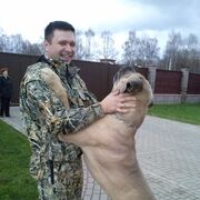 ���������� �����, ���� ������� �������, 48 ���, ������������ ��� c�������� ���������