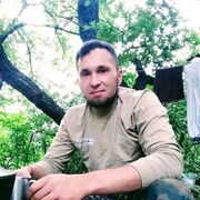  ,   ˸, 31 ,   ,   