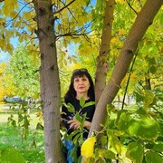  ,   , 63 ,   