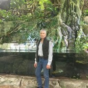  ,   , 62 ,     , c 