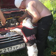 ���������� ����, ���� ������� ��������, 52 ����, ������������ ��� ������