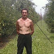  --,   , 62 ,   ,   , c 