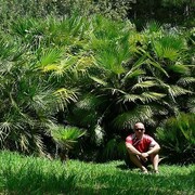 ���������� ������-��-����, ���� ������� ����������, 45 ���, ������������ ��� ����� � ���������, c�������� ���������