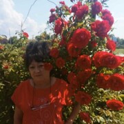  ,   , 67 ,   ,   , 