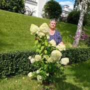  ,   Larisa, 63 ,     , c , 