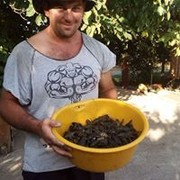 ���������� ����������, ���� ������� ���, 38 ���, ������������ ��� ������, ����� � ���������, c�������� ���������