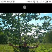 ���������� �����, ���� ������� ������, 38 ���, ������������ ��� ������, ����� � ���������