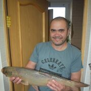 ���������� ������ �����, ���� ������� ������, 45 ���, ������������ ��� ������, ����� � ���������, c�������� ���������