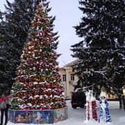 ���������� �����������������, ���� ������� ������, 37 ���, ������������ ��� c�������� ���������, ���������