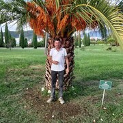 ���������� ����������, ���� ������� ������, 59 ���, ������������ ��� ������, ����� � ���������, c�������� ���������