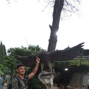  ,   , 32 ,  