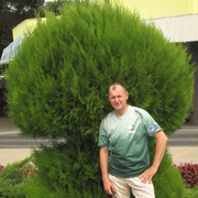 ���������� ������, ���� ������� �������, 52 ����, ������������ ��� ������, ����� � ���������, c�������� ���������