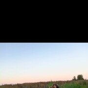 ���������� �������� ���, ���� ������� Daniil, 35 ���, ������������ ��� ������, ����� � ���������, c�������� ���������, ���������