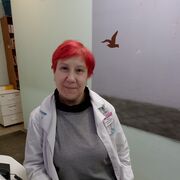  ,   , 51 ,   ,   