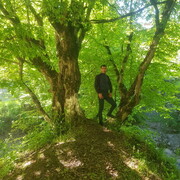 ���������� ������, ���� ������� �����, 38 ���, ������������ ��� ������, ����� � ���������