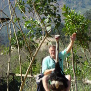  ,   Kolotun, 54 ,     , c 