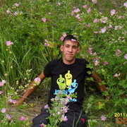  ,   , 36 ,   ,   , c 