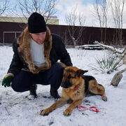  ,   , 51 ,   ,   , c 