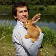 ���������� ������, ���� ������� ���������, 56 ���, ������������ ��� ������, ����� � ���������, c�������� ���������