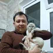 ���������� �������, ���� ������� �����, 43 ����, ������������ ��� ������, ����� � ���������, c�������� ���������